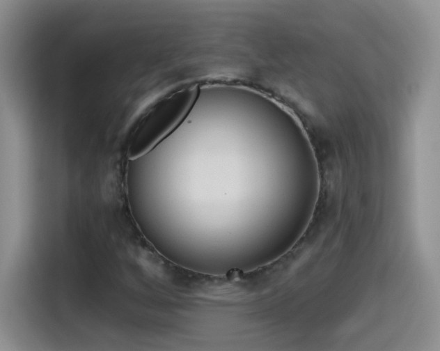 X0000115421256200911101624
