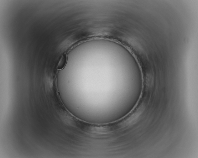 X0000115421257200911101624