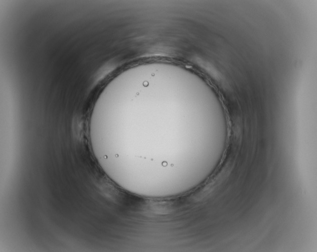 X0000115421258200911101624