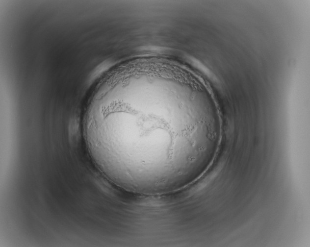 X0000115421259200911101624