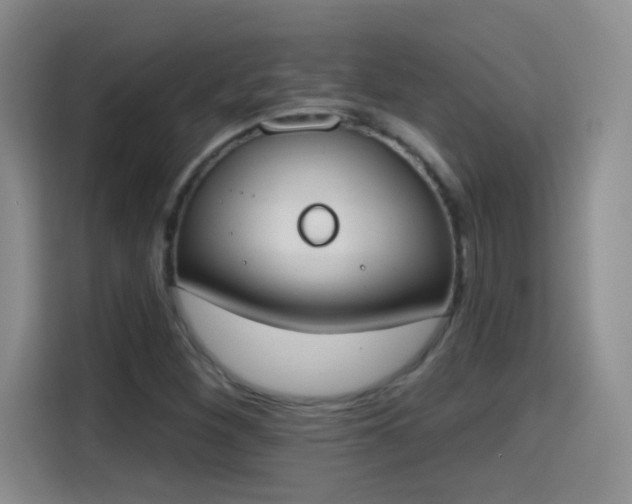 X0000115421260200911101624