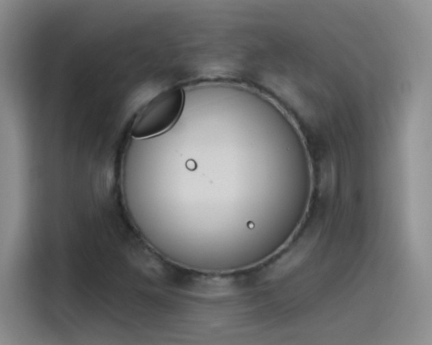 X0000115421261200911101624