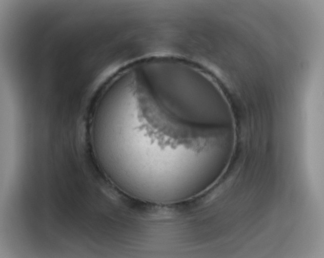 X0000115421263200911101624