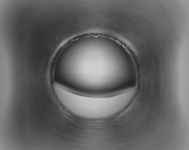X0000115421264200911101624