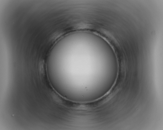 X0000115421265200911101624