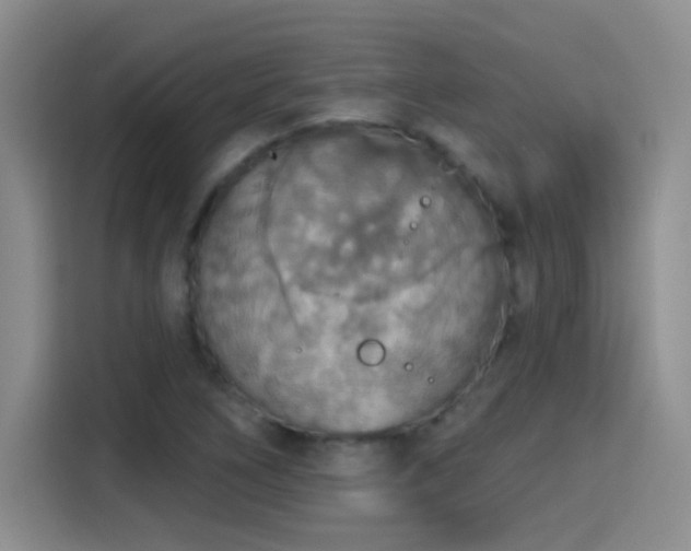 X0000115421266200911101624