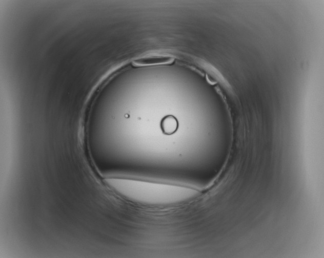 X0000115421268200911101624