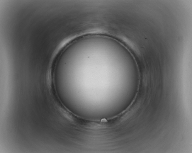 X0000115421270200911101624