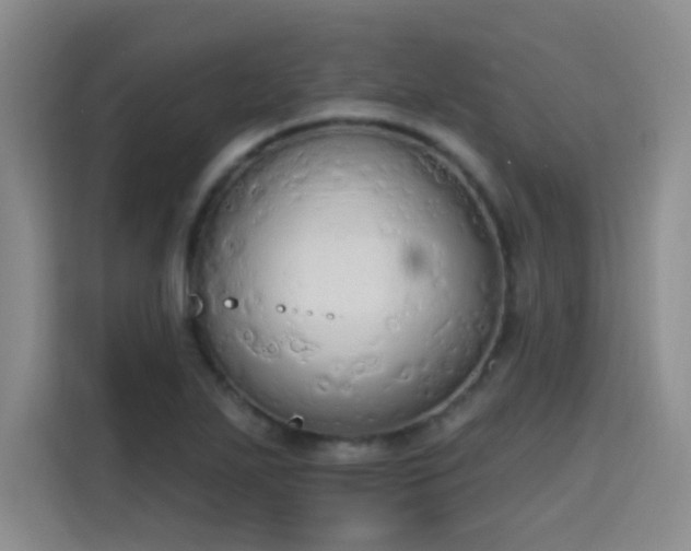 X0000115421271200911101624