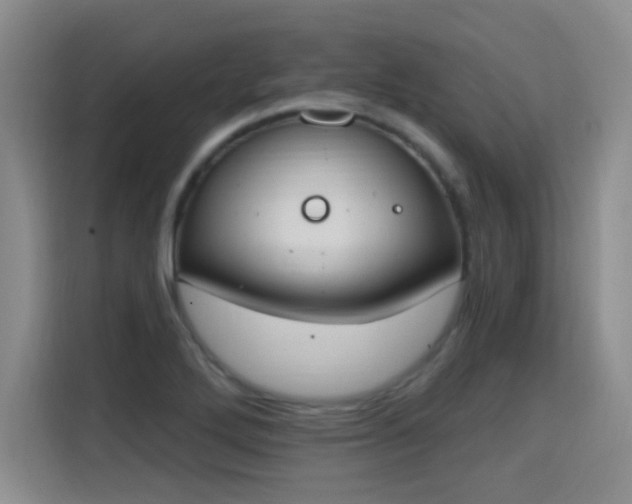 X0000115421272200911101624