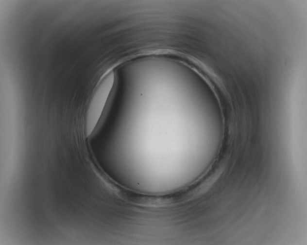 X0000115421273200911101624