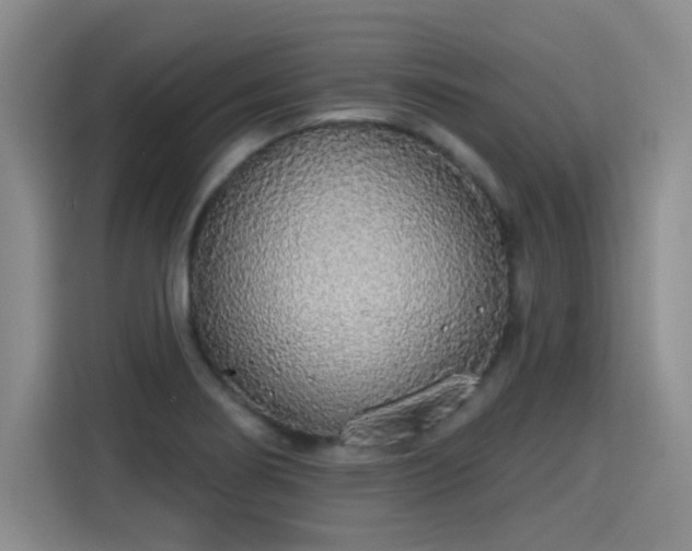 X0000115421274200911101624