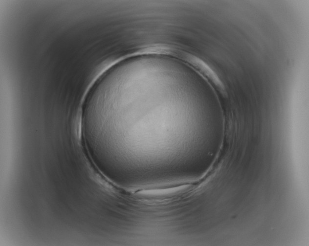 X0000115421276200911101624