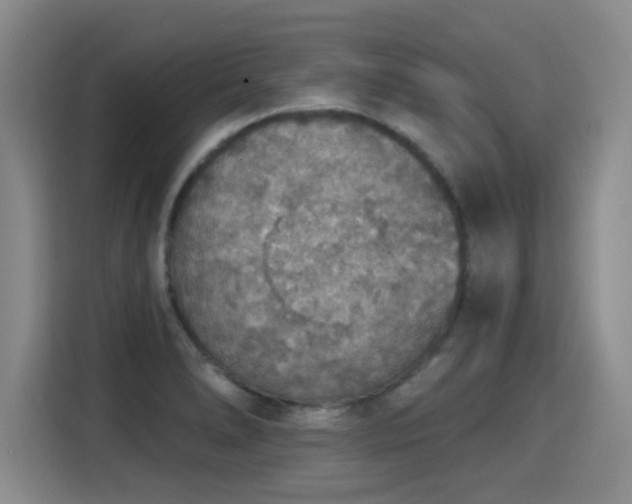 X0000115421278200911101624
