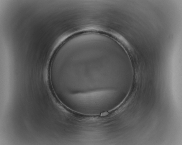 X0000115421279200911101624