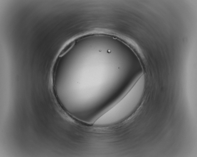 X0000115421280200911101624
