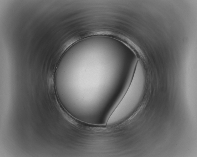 X0000115421281200911101624