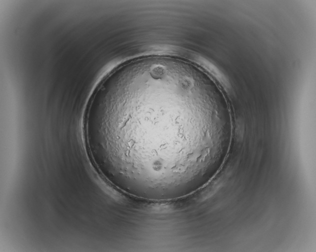X0000115421283200911101624