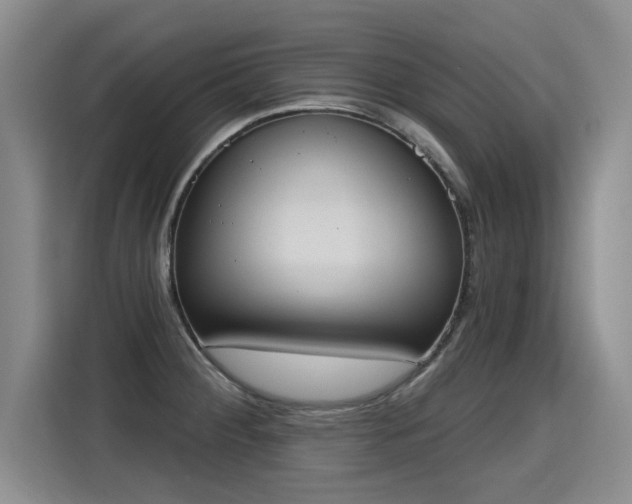 X0000115421284200911101624