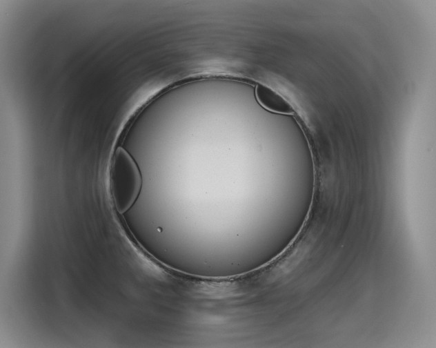 X0000115421285200911101624