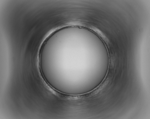 X0000115421286200911101624