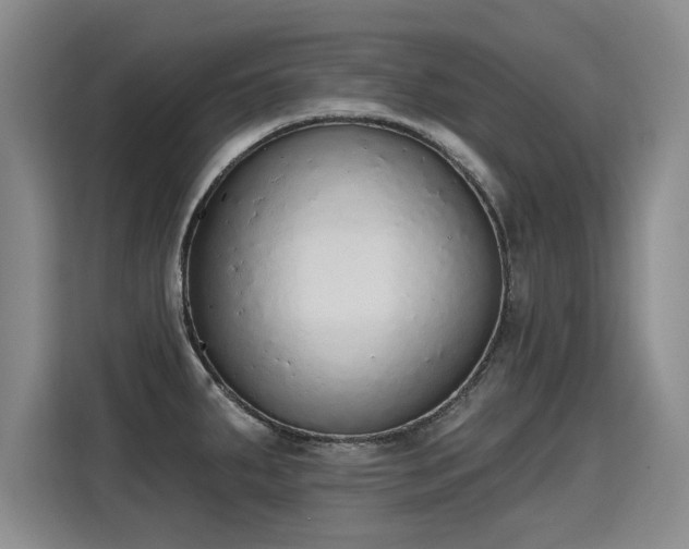 X0000115421287200911101624