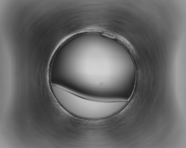 X0000115421288200911101624