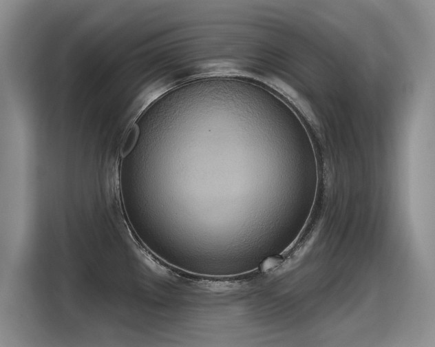 X0000115421289200911101624