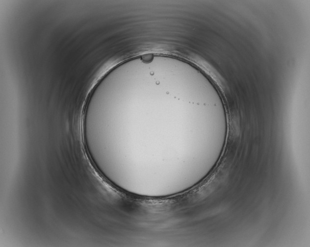 X0000115421290200911101624