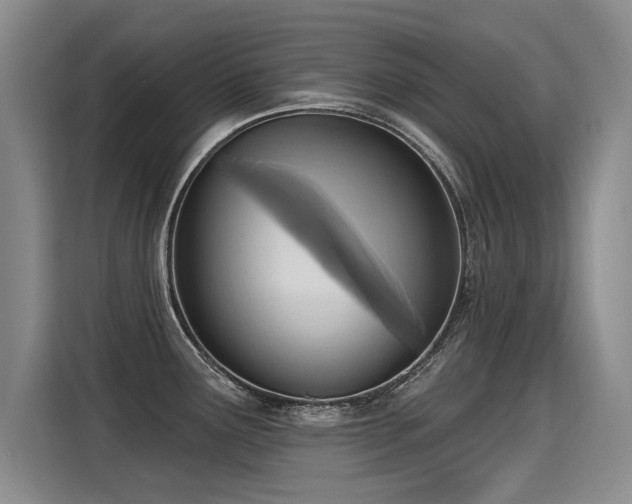 X0000115421291200911101624