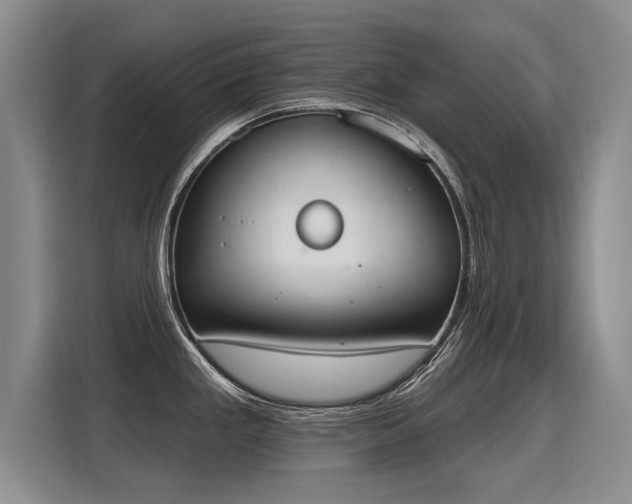 X0000115421293200911101624