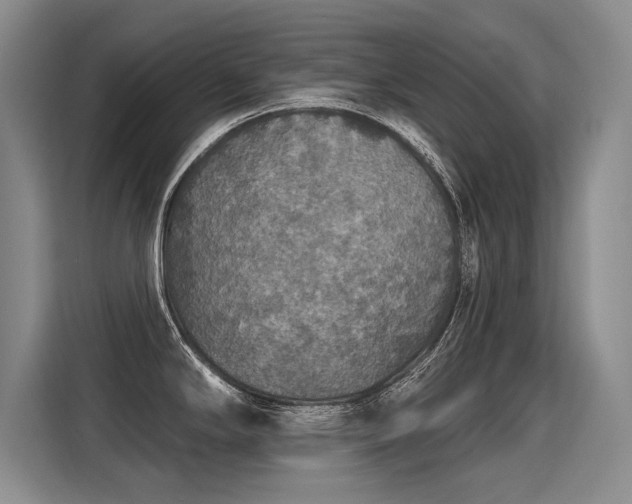 X0000115421294200911101624