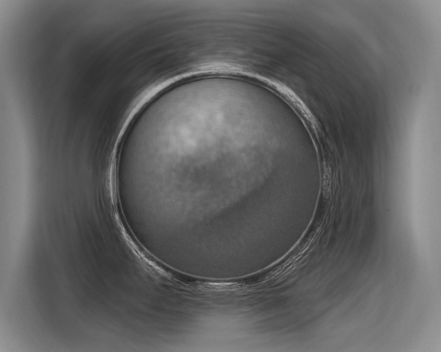 X0000115421295200911101624