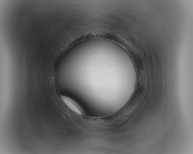 X0000115421298200911101623