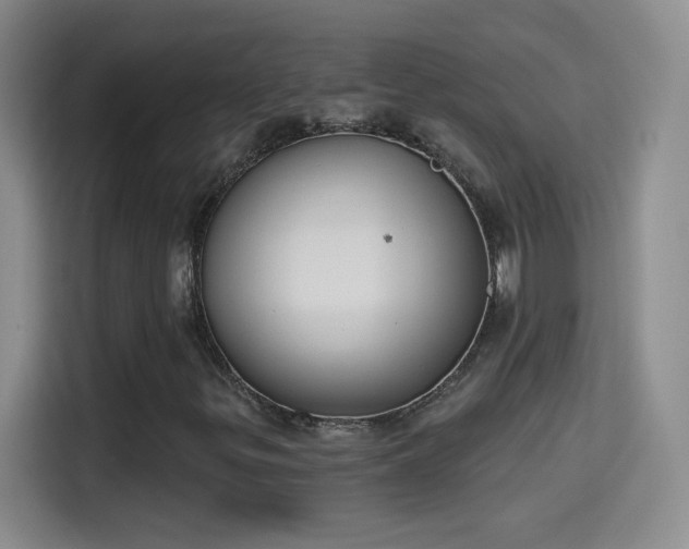 X0000115421299200911101623