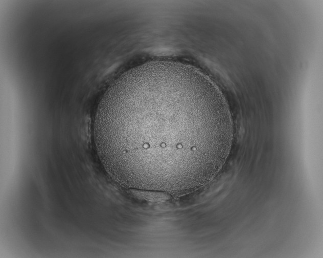 X0000115421301200911101623