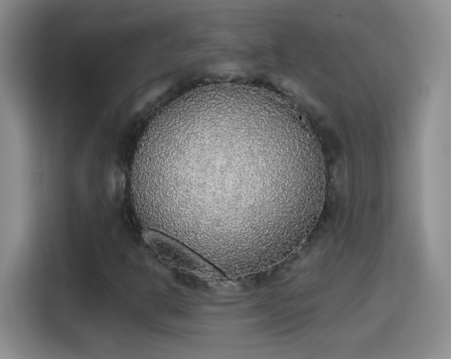 X0000115421302200911101623