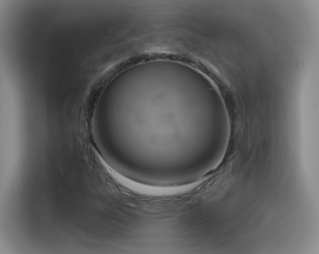 X0000115421303200911101623