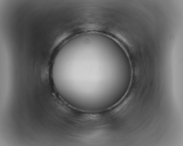 X0000115421309200911101623
