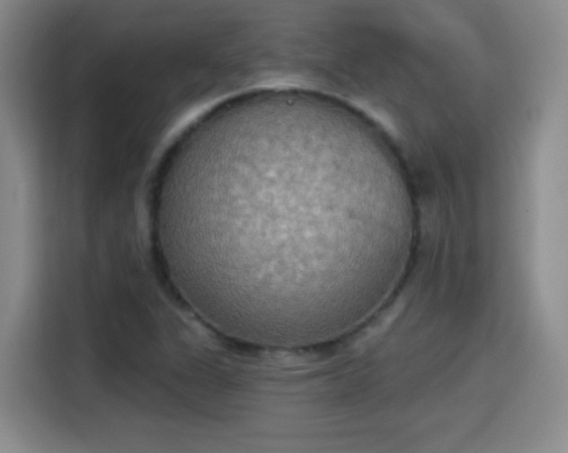 X0000115421311200911101623