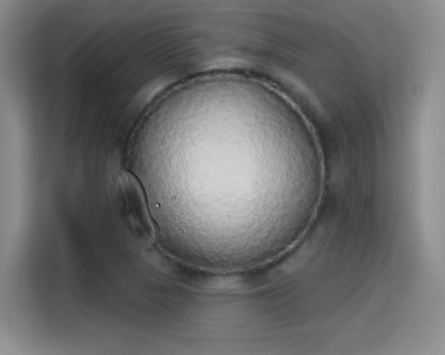 X0000115421313200911101623