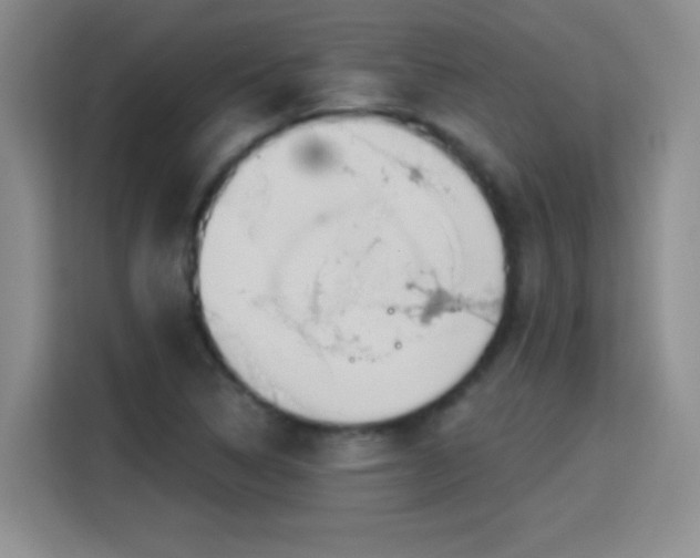 X0000115421314200911101623