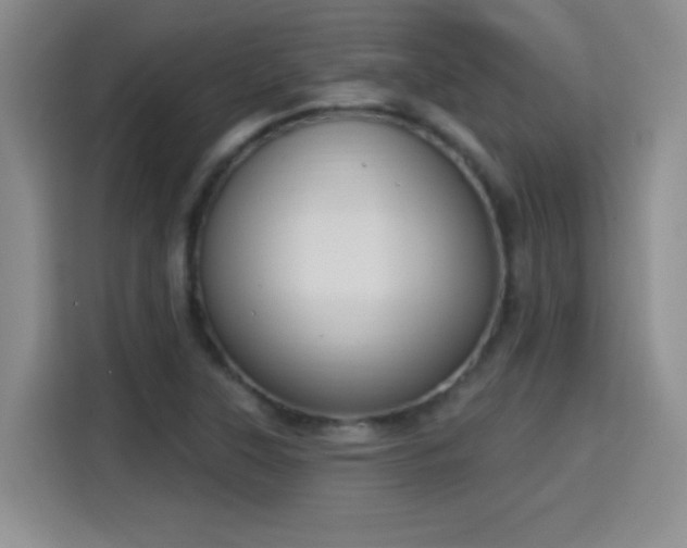 X0000115421315200911101623