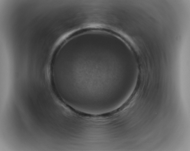 X0000115421319200911101624