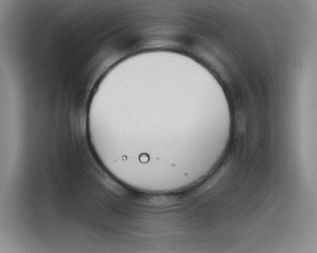 X0000115421322200911101624