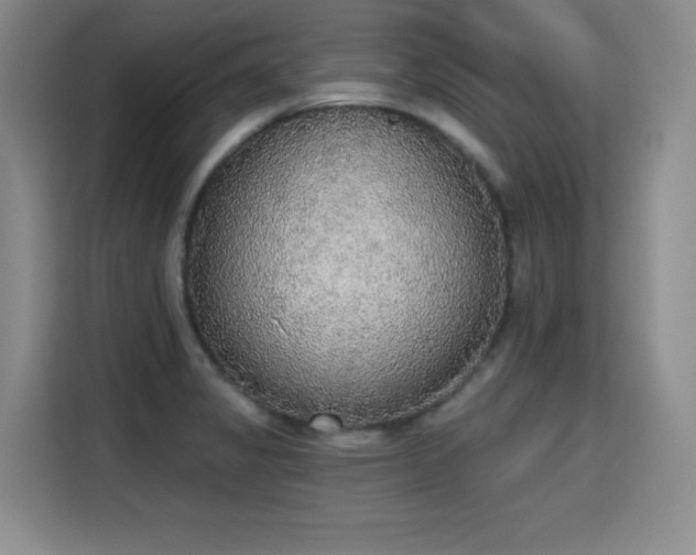 X0000115421325200911101624