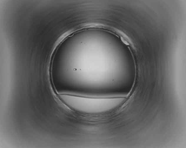 X0000115421330200911101624
