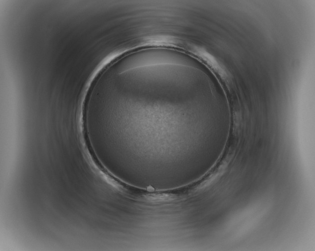 X0000115421331200911101624