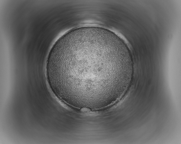 X0000115421333200911101624