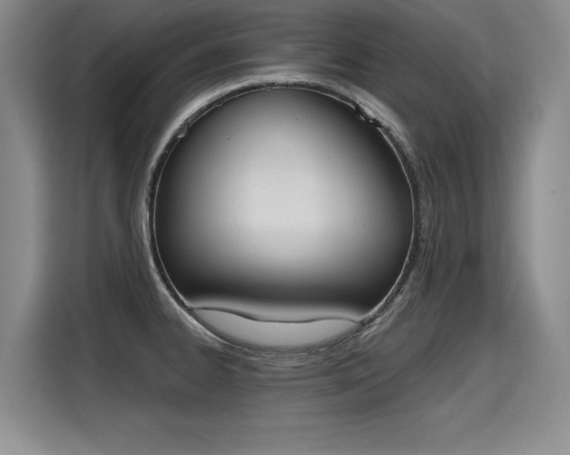 X0000115421334200911101624